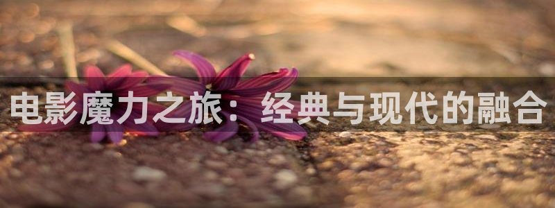 星空电影网完整免费观看：电影魔力之旅：经典与现代的融合