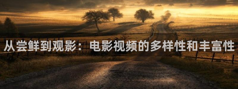 星空高清图：从尝鲜到观影：电影视频的多样性和丰富性