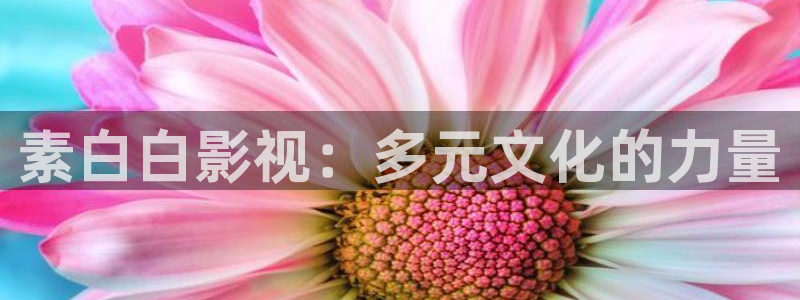 电影星空下载：素白白影视：多元文化的力量