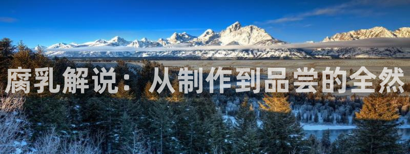 星空影院在线观看全集免费观看影视大全：腐乳解说：从制作到品尝的全然