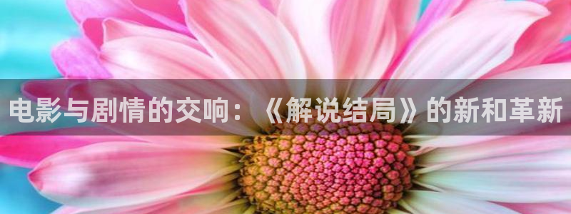 星空影院电视剧：电影与剧情的交响：《解说结局》的新和革新