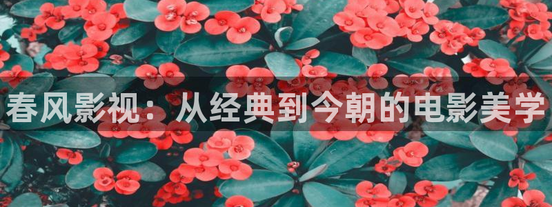 千渭星空国际影城今日影讯：春风影视：从经典到今朝的电影美学