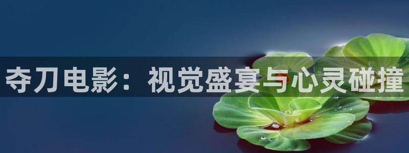 星空影院免费观看在线高清下载：夺刀电影：视觉盛宴与心灵碰撞