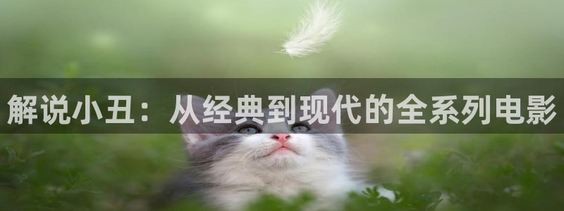妈妈的朋友星空影院：解说小丑：从经典到现代的全系列电影