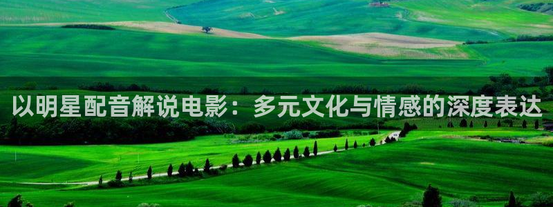 二十不惑星空影视