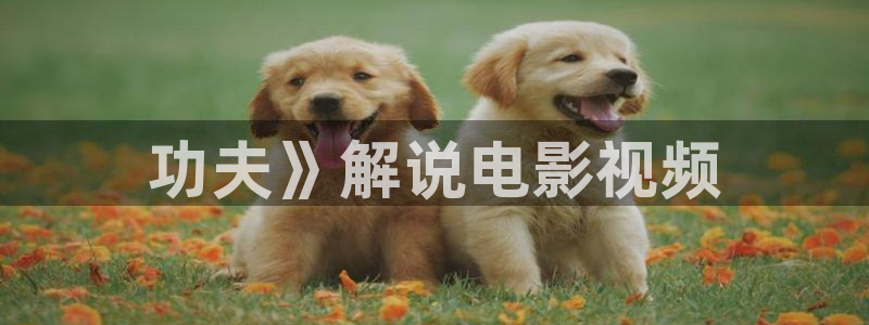 星空影院电影大全