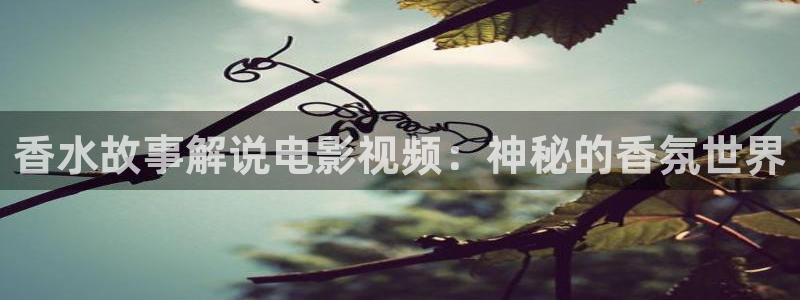星空影视免费观看电影大全在线观看
