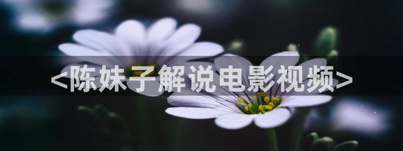 星空影院网站