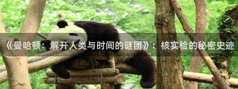 星空在线观看电影