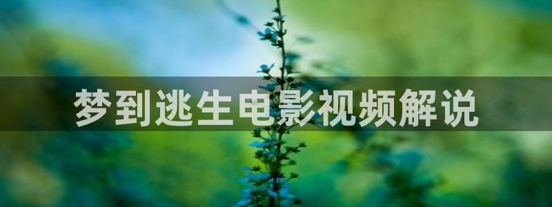 星空电影台直播