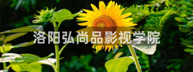 星空影院好看的