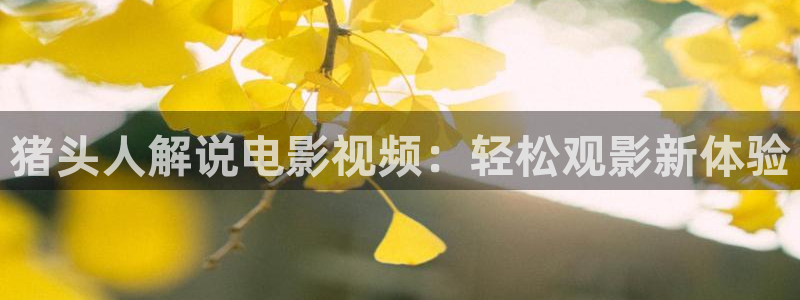 关于星空的画
