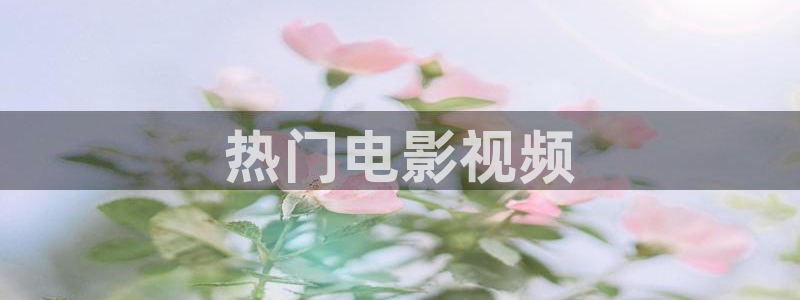 星空影视手机