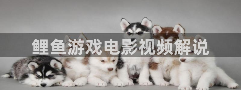 亮剑星空影院免费观看