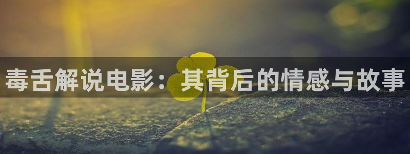 星空免费观看电视剧电影