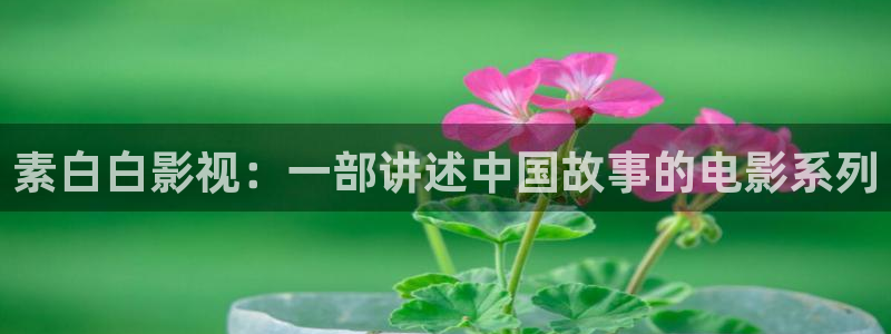 星空影视在线观看免费播放电视剧