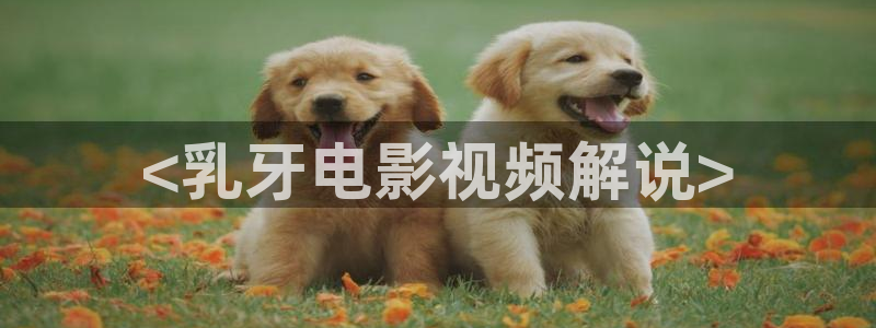 星空影院高清免费观看电视剧软件：<乳牙电影视频解说>