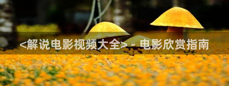星空影视网免费观看：<解说电影视频大全> - 电影欣赏指南