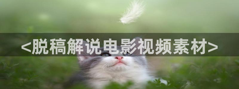 星空影院视频：<脱稿解说电影视频素材>