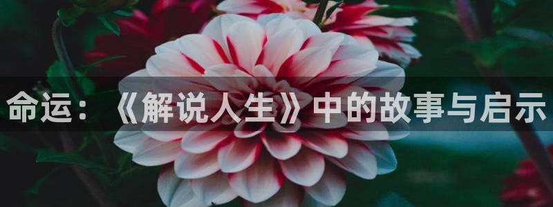 星空高清免费观看完整电影：命运：《解说人生》中的故事与启示