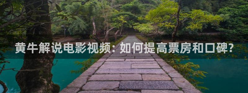 八戒星空影院：黄牛解说电影视频: 如何提高票房和口碑?