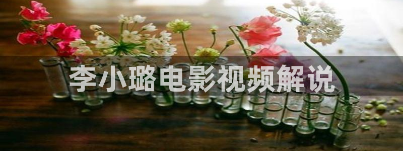 星空影院在哪下载：李小璐电影视频解说