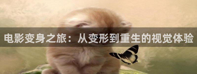 免费电影星空