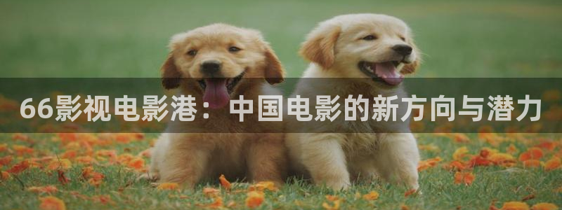 星空影院最新电影