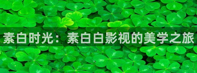 星空在线观看全集免费高清
