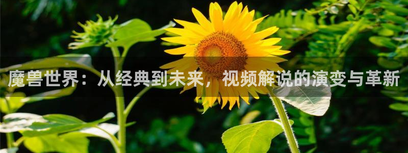 星空影视下载