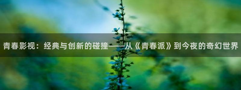星空影视.