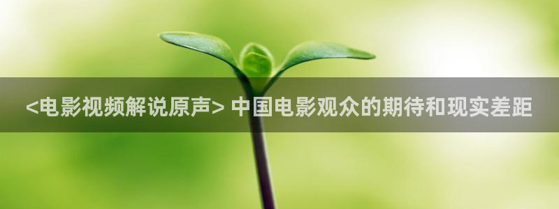 在线观看星空影院