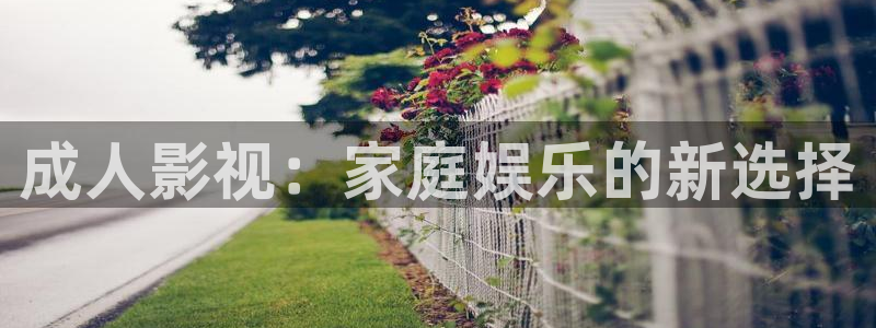 星空影视大全