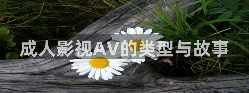 星空影院电视剧免费观看在线观看