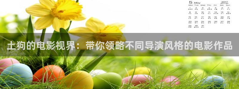 电影星空在线观看