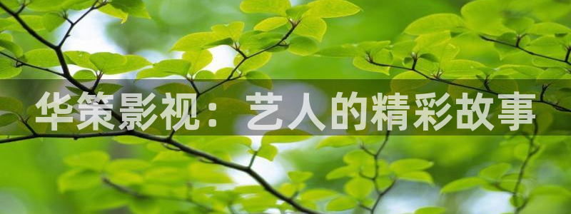 星空影视app下载