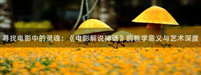 星空影视下载：寻找电影中的灵魂：《电影解说神话》的哲学意义与艺术深度