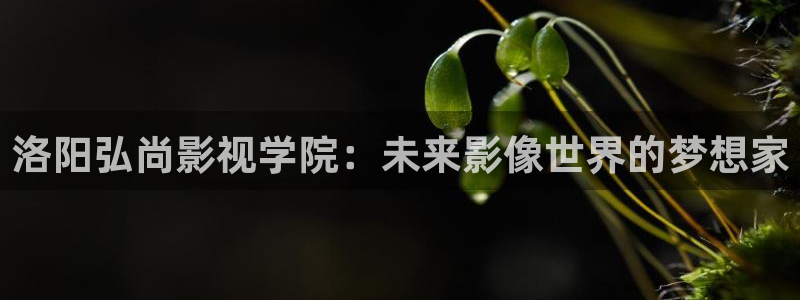 星空影院在线看：洛阳弘尚影视学院：未来影像世界的梦想家