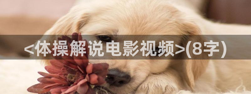星空视频在线观看免费播放电影