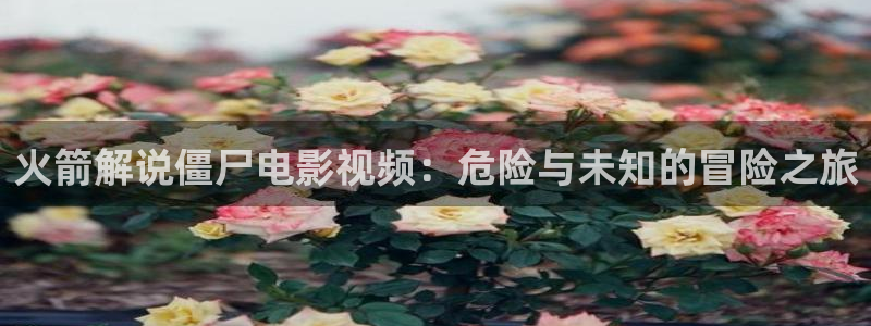 在线观看星空电影